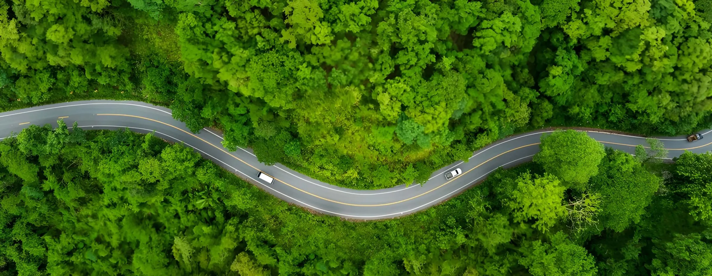 Aerial view of a road running through a forest